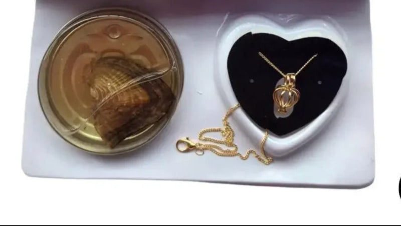 Wish Pearl Necklace Kit