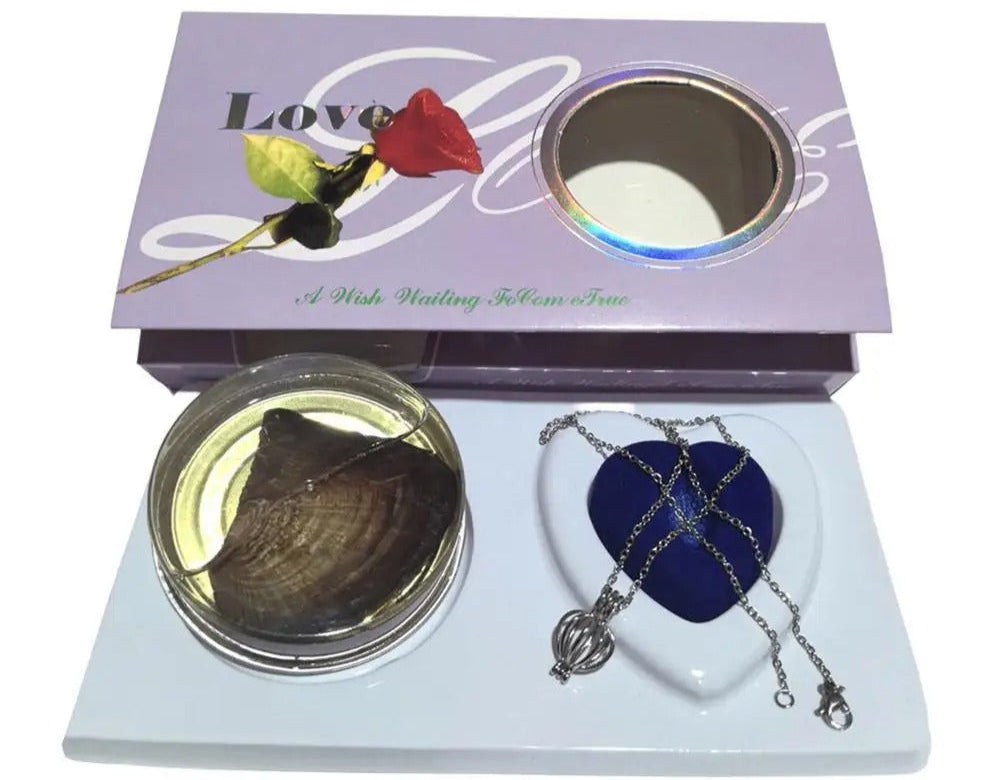 Wish Pearl Necklace Kit